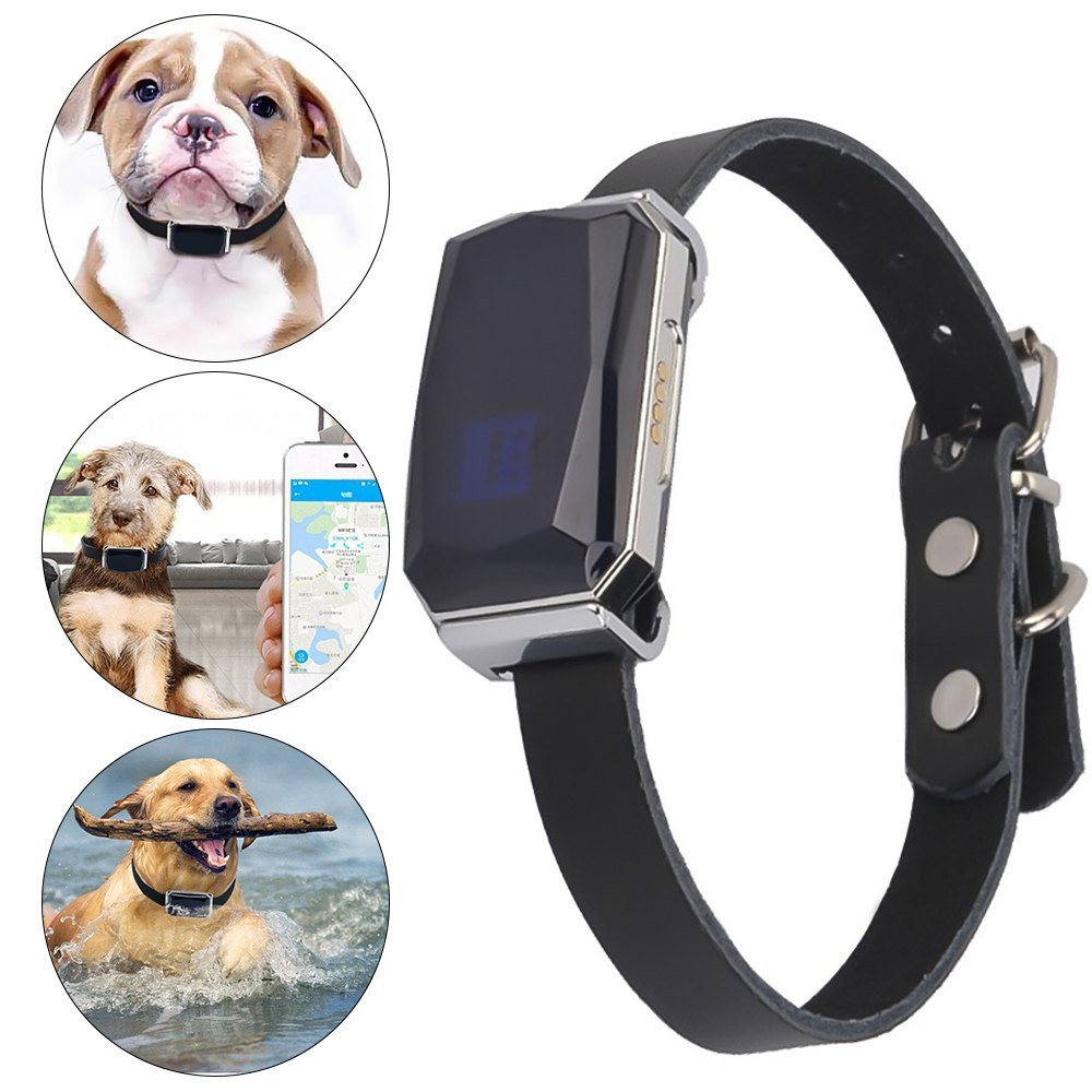 Pet GPS Trackers